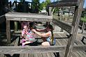 Picture 7617